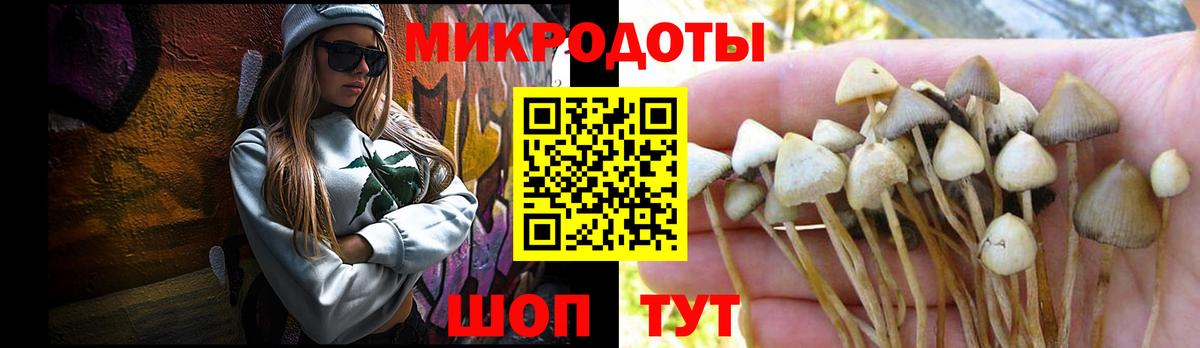 Галлюциногенные грибы мицелий  Вход с VPN  Екатеринбург  Галлюциногенные грибы прущие грибы 